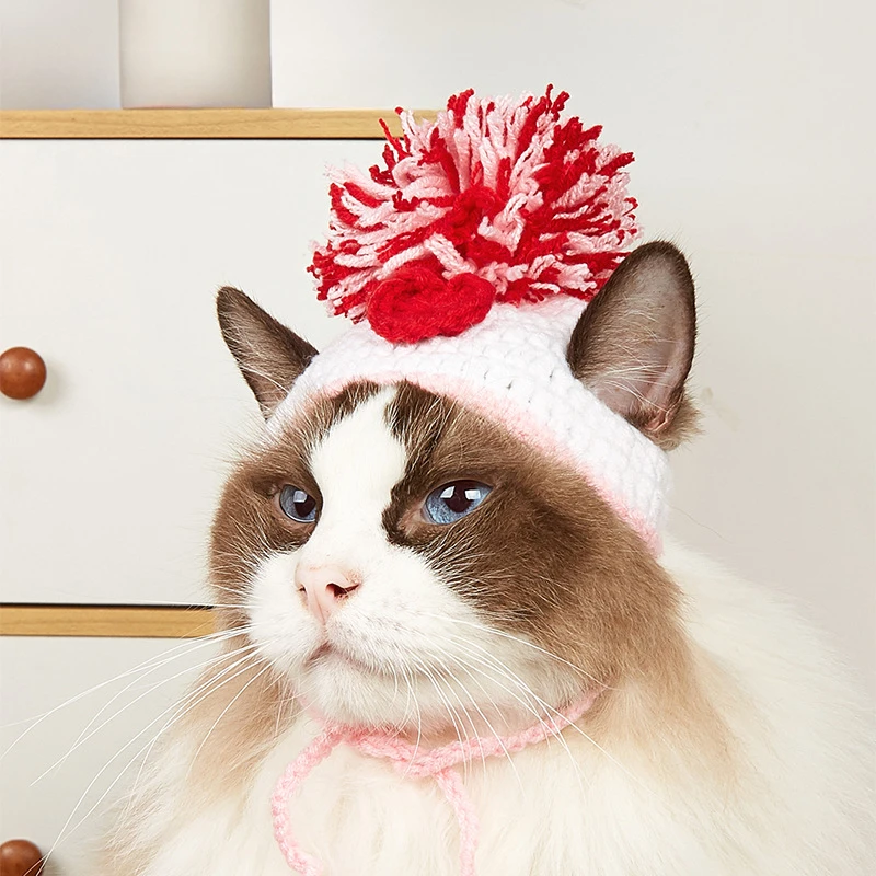 Pet Supplies In Amazon - Chapeau tricoté pour animaux de compagnie,