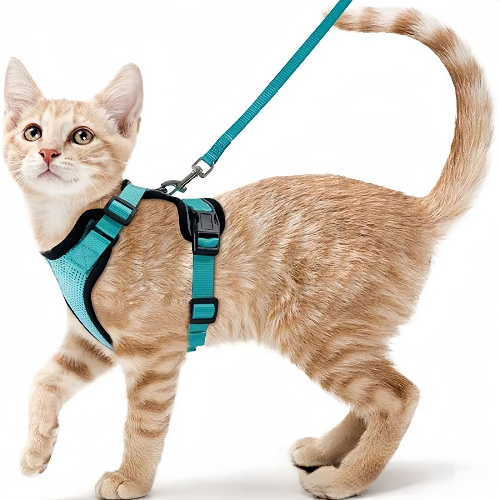 Pet Supplies In Amazon - Harnais de poitrail réfléchissant anti-évasion pour