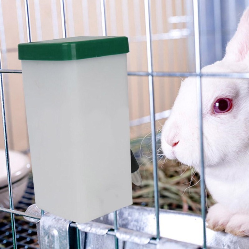 Pet Supplies App - Bouteille Distributrice d'Eau Suspendue pour Animaux