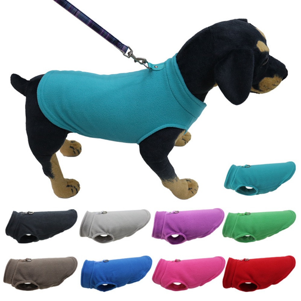 Pet Supplies In Amazon - Vêtements pour animaux de compagnie Europe,