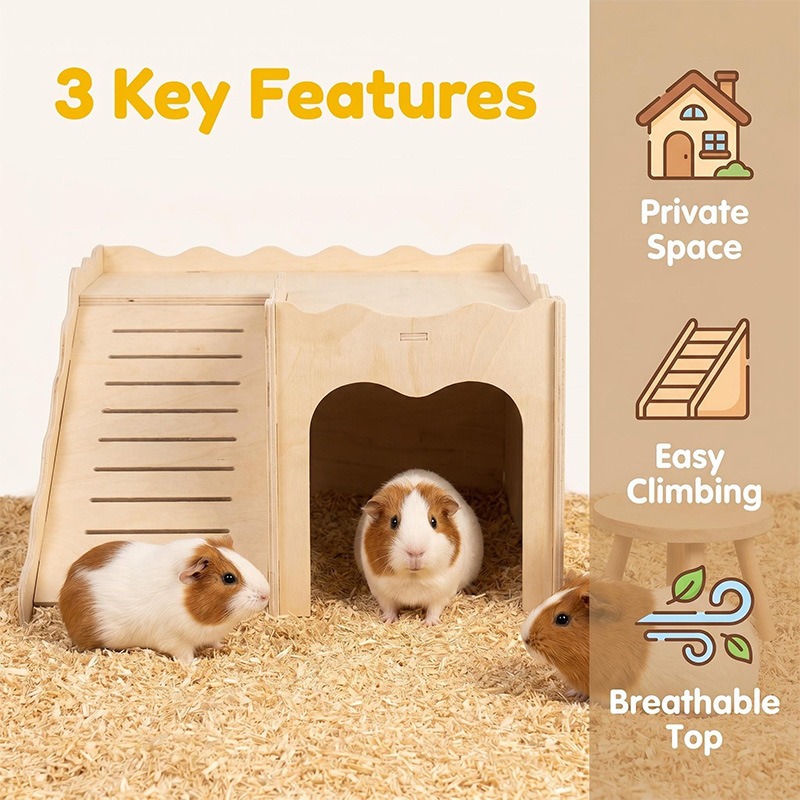 Jouets en bois pour hamsters A - Pet Supplies In Amazon avis et prix