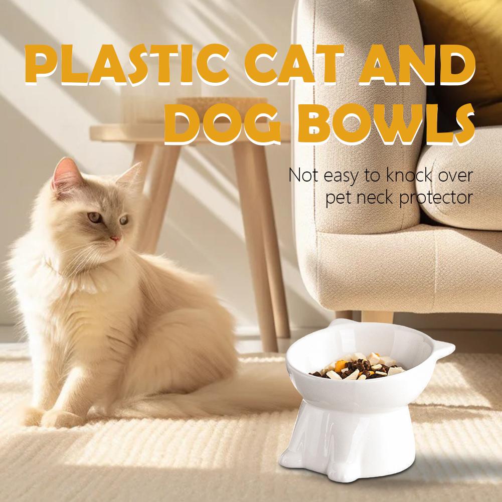 Bol pour chat noir Amazon, bol - Pet Supplies In Amazon avis et prix
