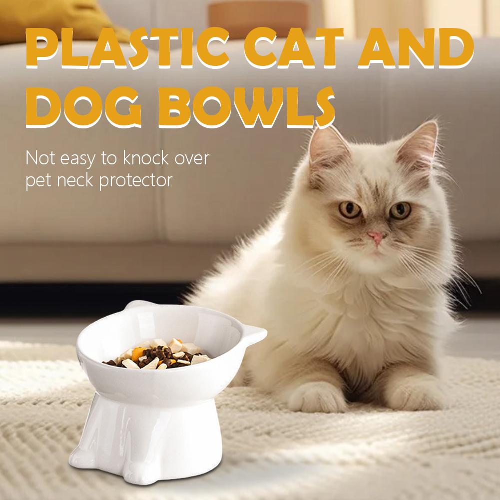 Bol pour chat noir Amazon, bol - Pet Supplies In Amazon avis et prix