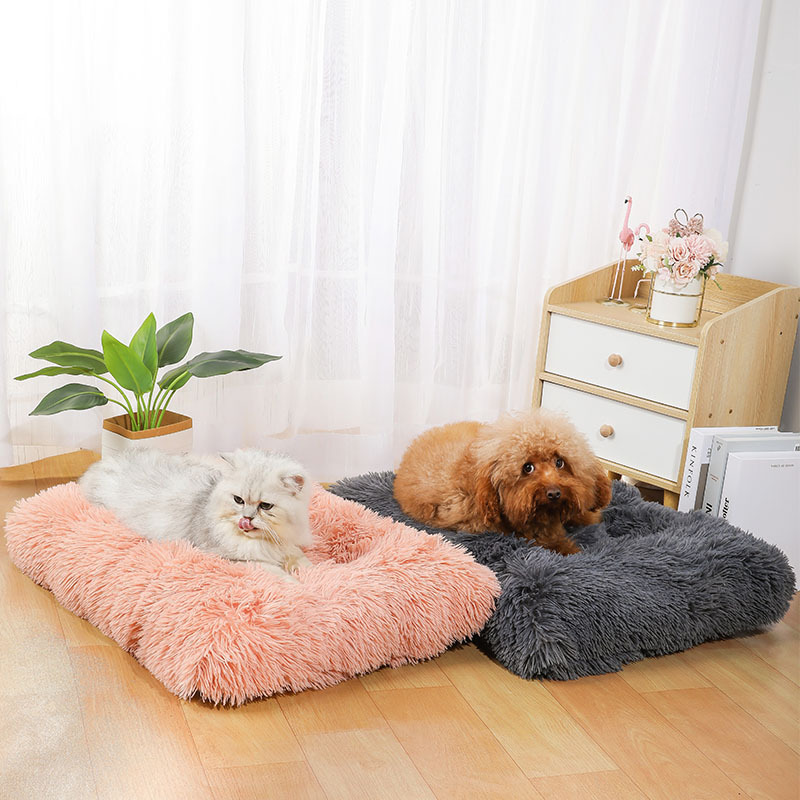 Nouveau Tapis de Couchage pour - Pet Supplies In Amazon avis et prix