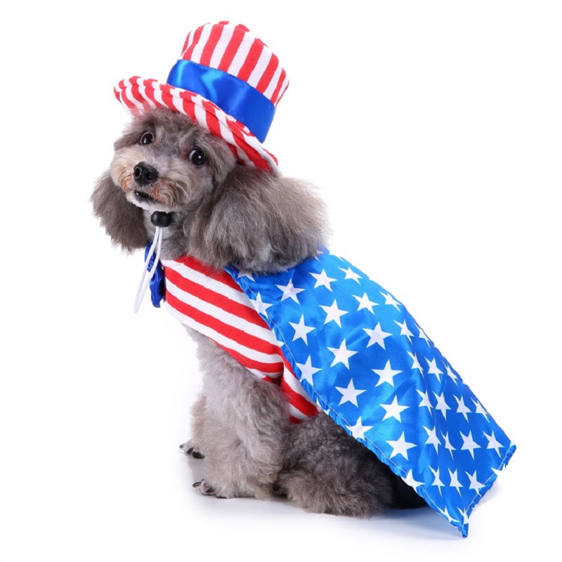 Vêtements pour Animaux de Comp - Pet Supplies And More avis et prix