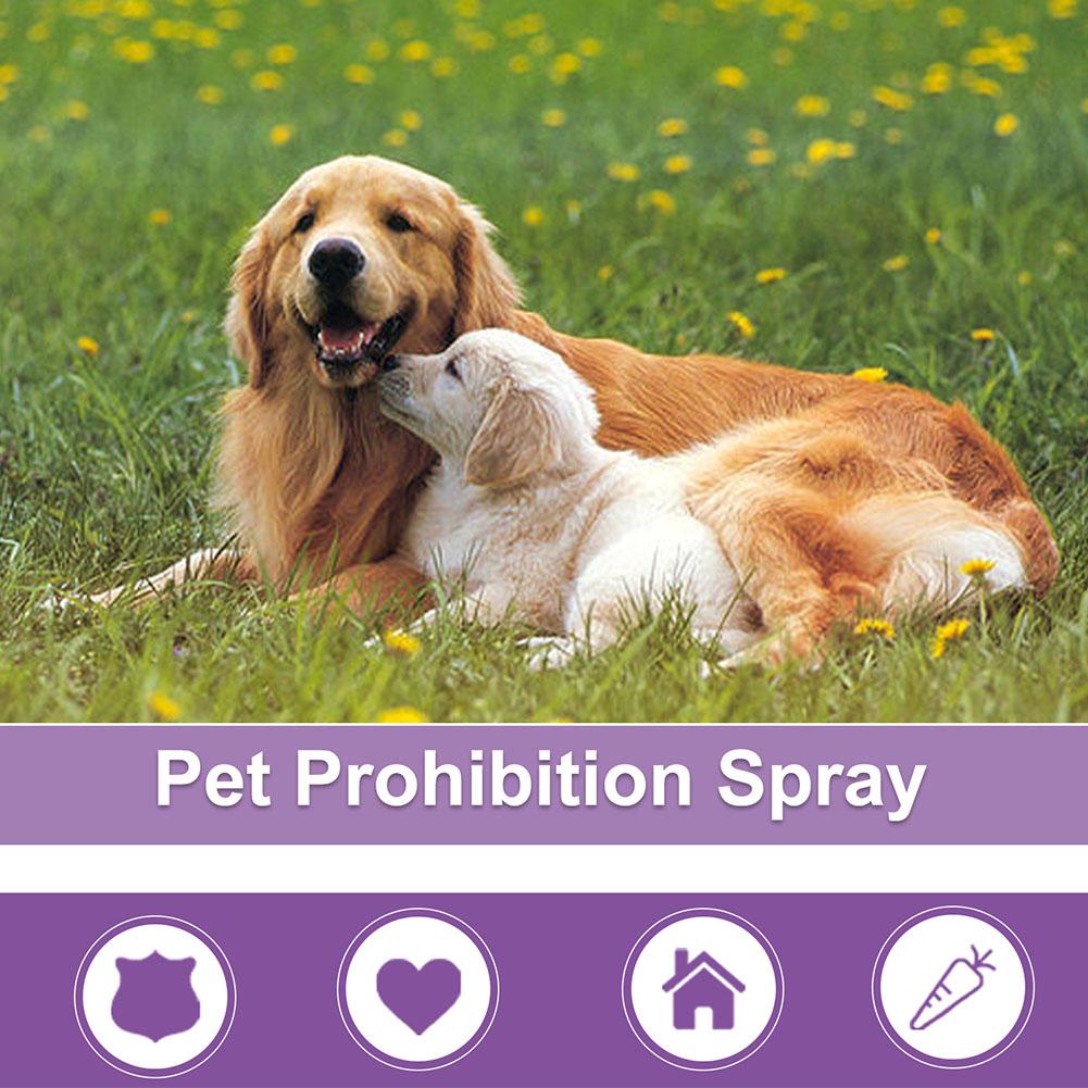 Spray apaisant pour animaux de - Pet Supplies App avis et prix