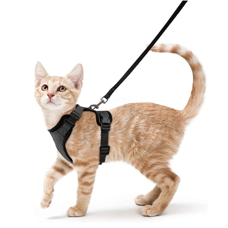 Harnais de poitrail réfléchiss - Pet Supplies In Amazon avis et prix