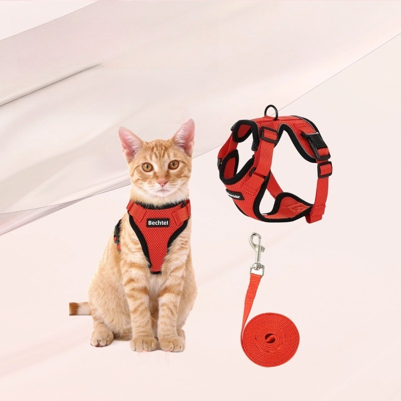 Harnais de poitrail réfléchiss - Pet Supplies In Amazon avis et prix