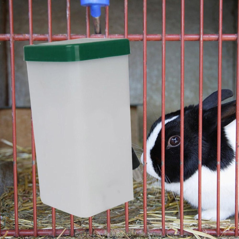 Bouteille Distributrice d'Eau  - Pet Supplies App avis et prix