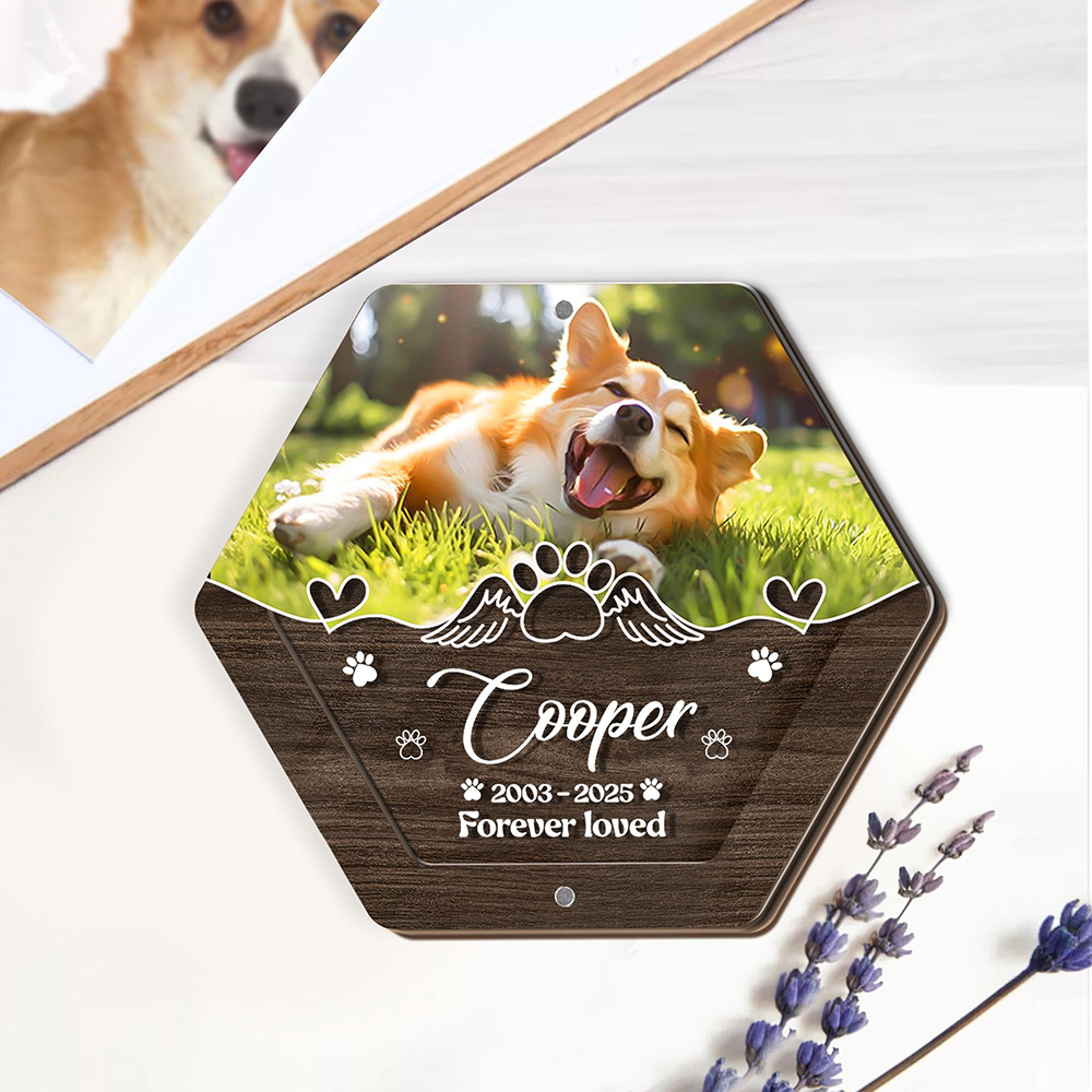 Boîte de rangement de cheveux  - Pet Supplies Stores avis et prix