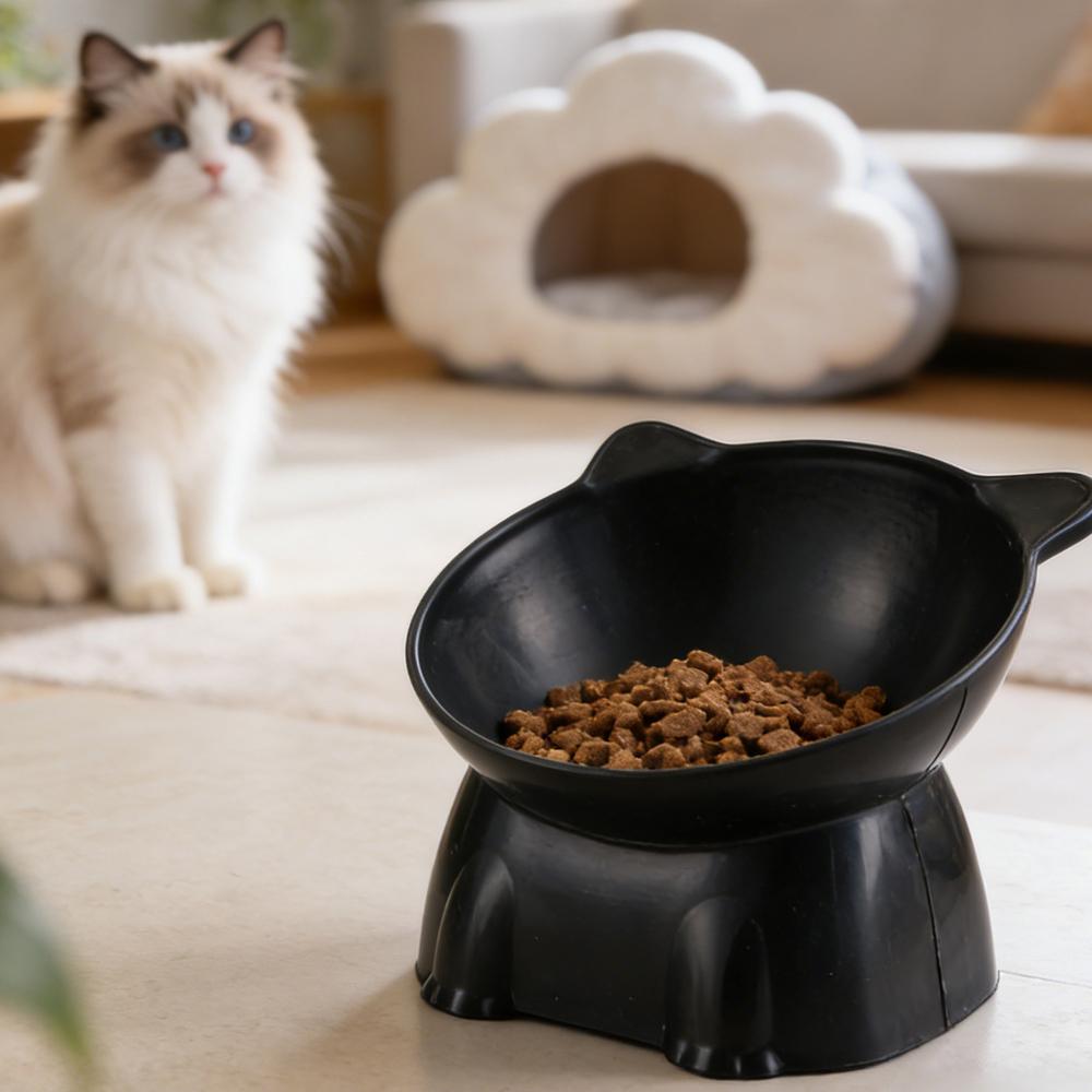 Bol pour chat noir Amazon, bol - Pet Supplies In Amazon avis et prix