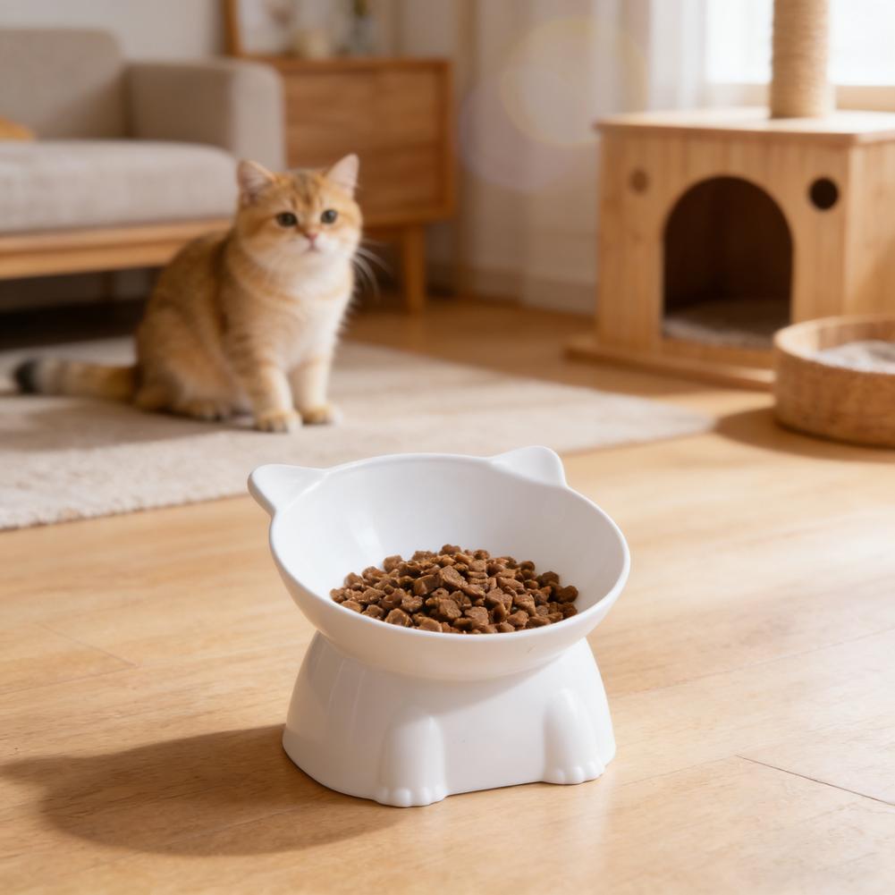 Bol pour chat noir Amazon, bol - Pet Supplies In Amazon avis et prix