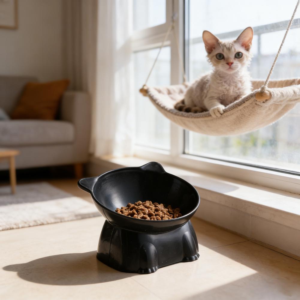Bol pour chat noir Amazon, bol - Pet Supplies In Amazon avis et prix