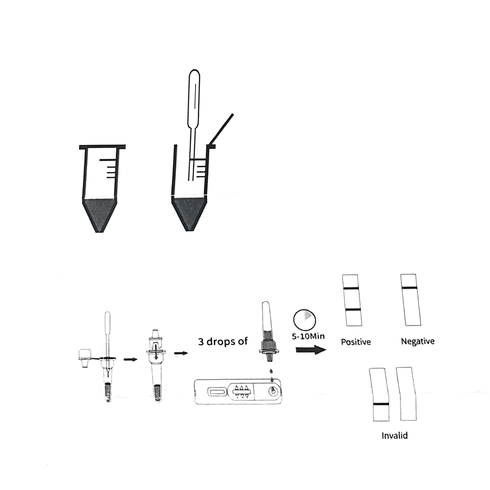 Kit de Test de Grossesse Profe - Pet Supplies App avis et prix