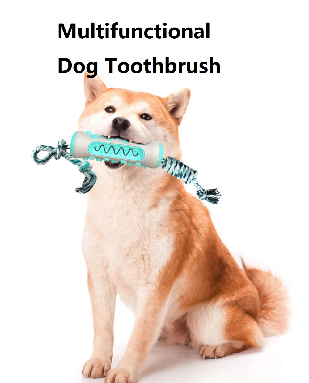 Fournitures pour animaux de co - Pet Supplies In Amazon avis et prix