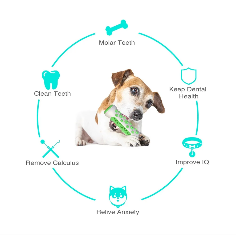 Fournitures pour animaux de co - Pet Supplies In Amazon avis et prix