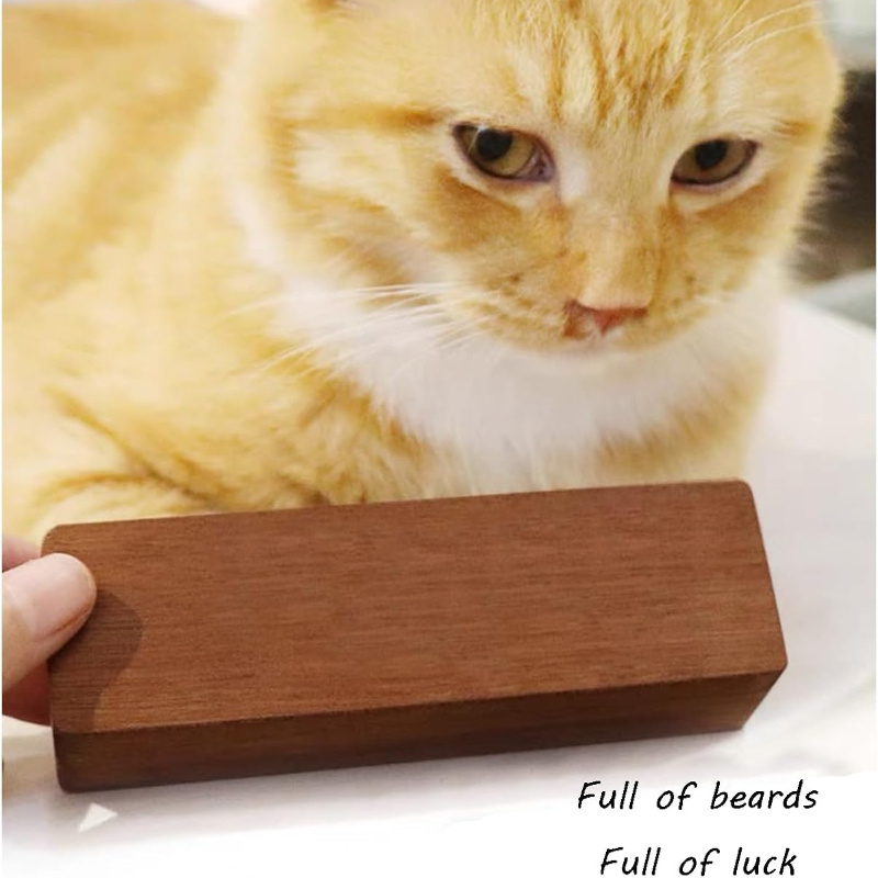Boîte de rangement élégante en - Pet Supplies Stores avis et prix
