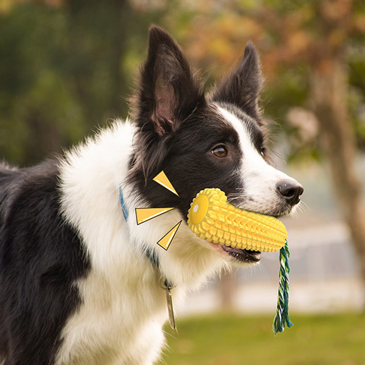 Jouet pour chien en forme de b - Pet Supplies In Amazon avis et prix