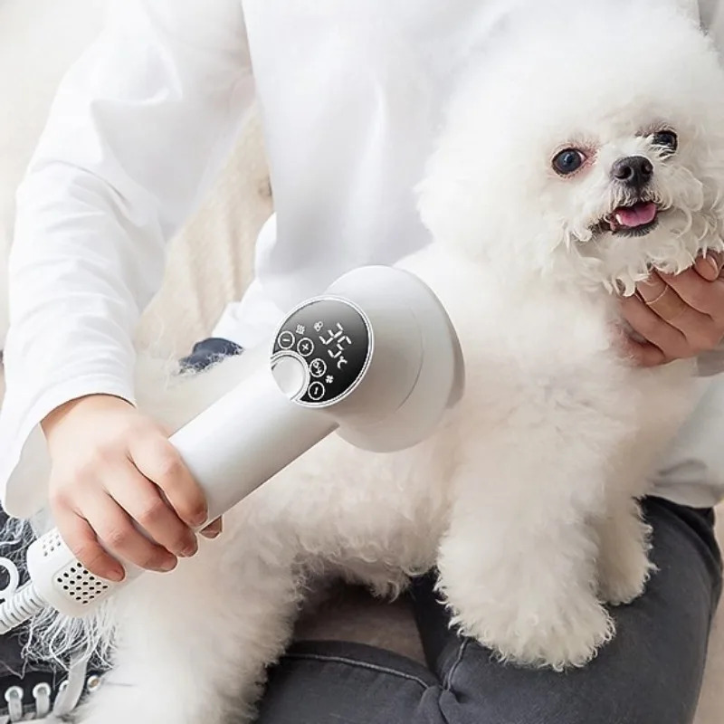 Sèche-cheveux professionnel po - Pet Supplies And More avis et prix