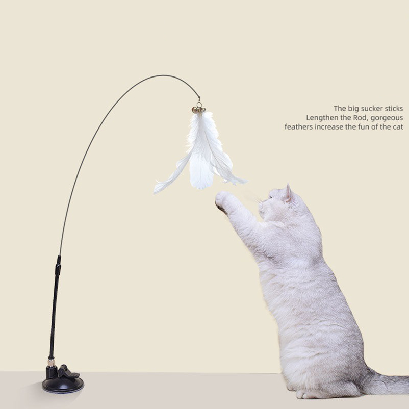 Nouveau bâton taquin pour chat - Pet Supplies In Amazon avis et prix