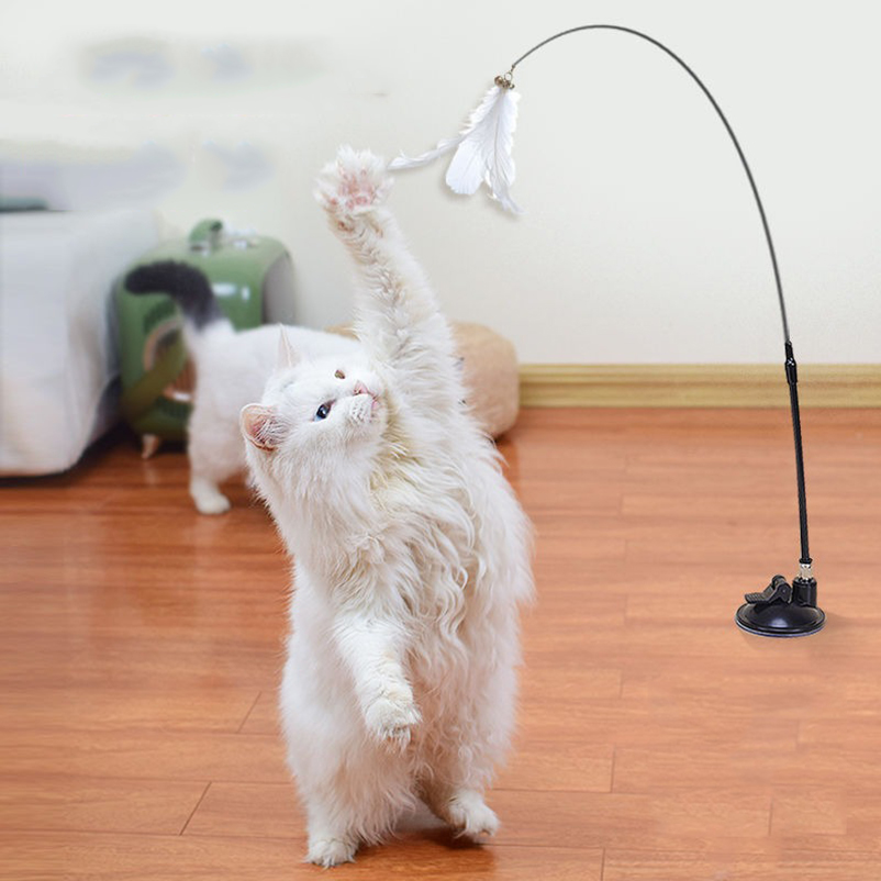 Nouveau bâton taquin pour chat - Pet Supplies In Amazon avis et prix