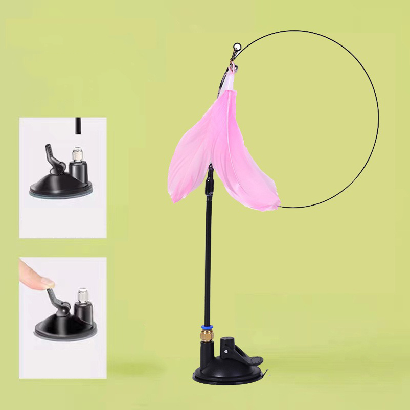 Nouveau bâton taquin pour chat - Pet Supplies In Amazon avis et prix