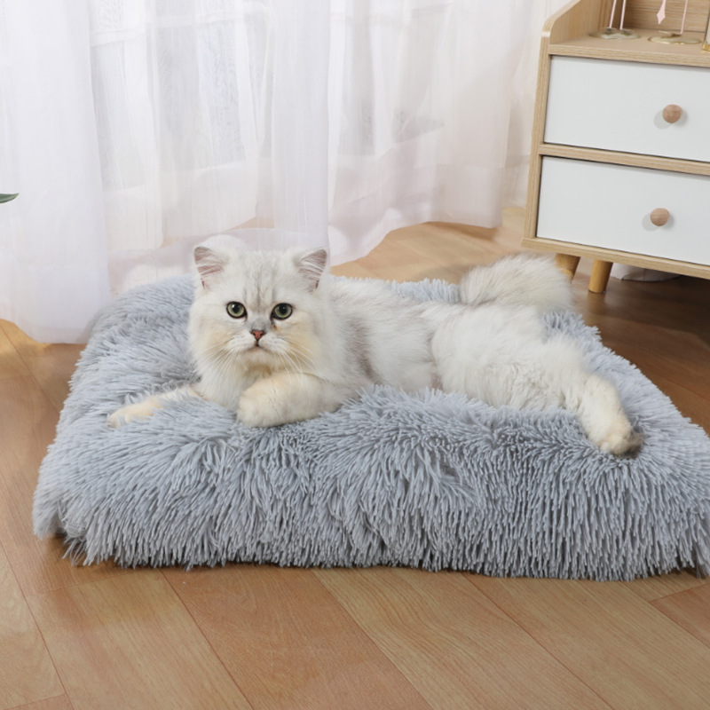 Nouveau Tapis Confortable et C - Pet Supplies In Amazon avis et prix