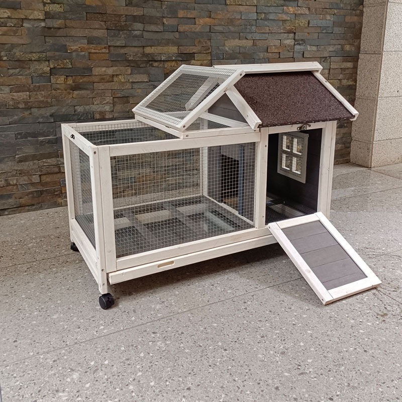 Cage pour animaux de compagnie - Pet Supplies And More avis et prix