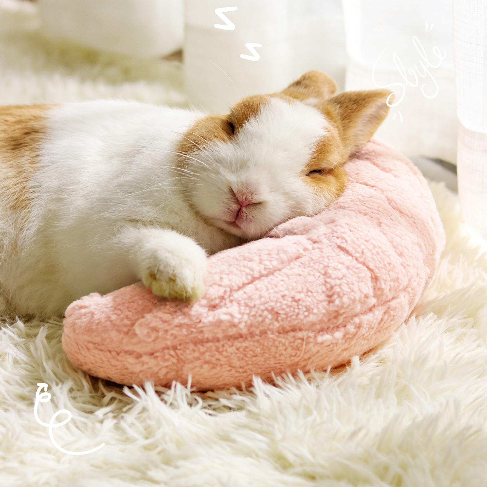 Petit coussin pour animaux de  - Pet Supplies App avis et prix